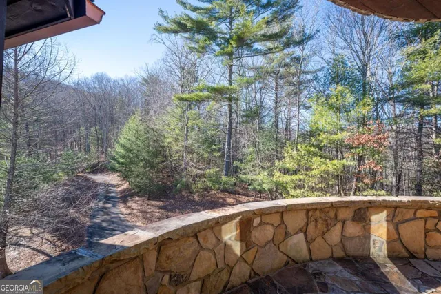 $1,249,000 | 244 Tipton Court, Cherry Log, GA 30522