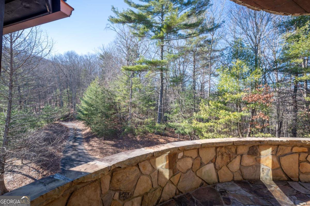 244 Tipton Court Cherry Log, GA 30522 - Photo 68 of 84