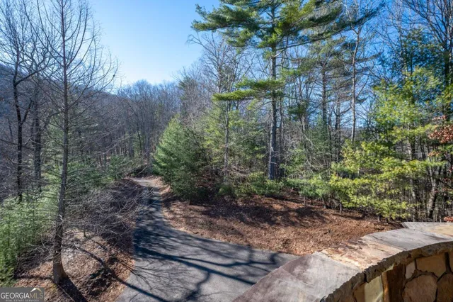 $1,249,000 | 244 Tipton Court, Cherry Log, GA 30522