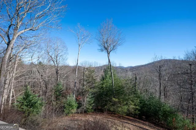 $1,249,000 | 244 Tipton Court, Cherry Log, GA 30522