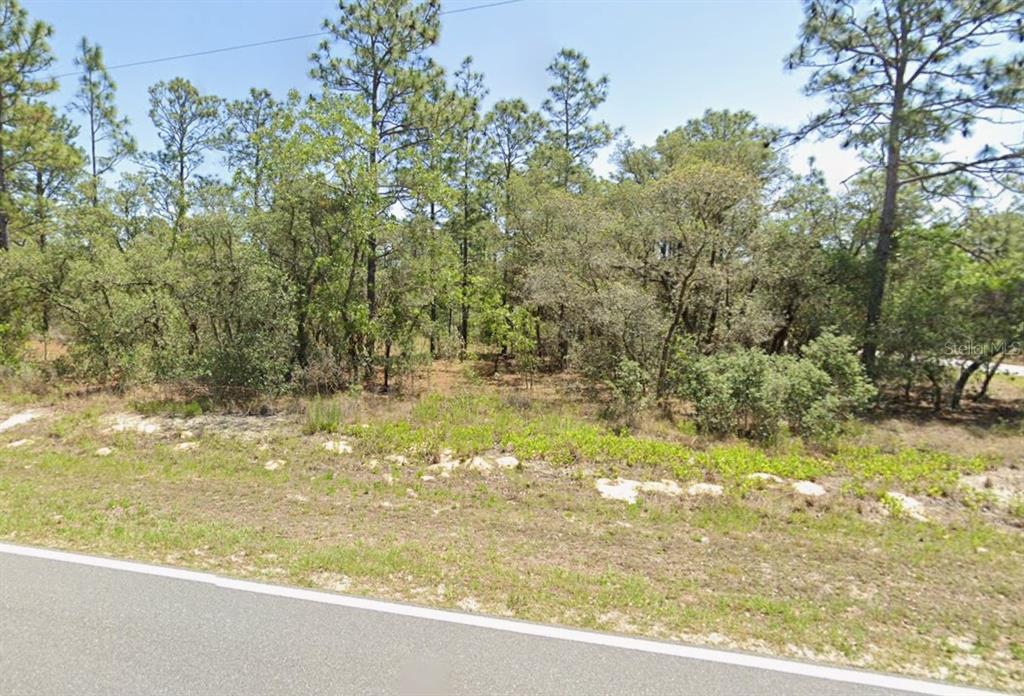 0 Northwest Ridgewood Road Dunnellon, FL 34431 - Photo 2 of 3 a view of a lake view