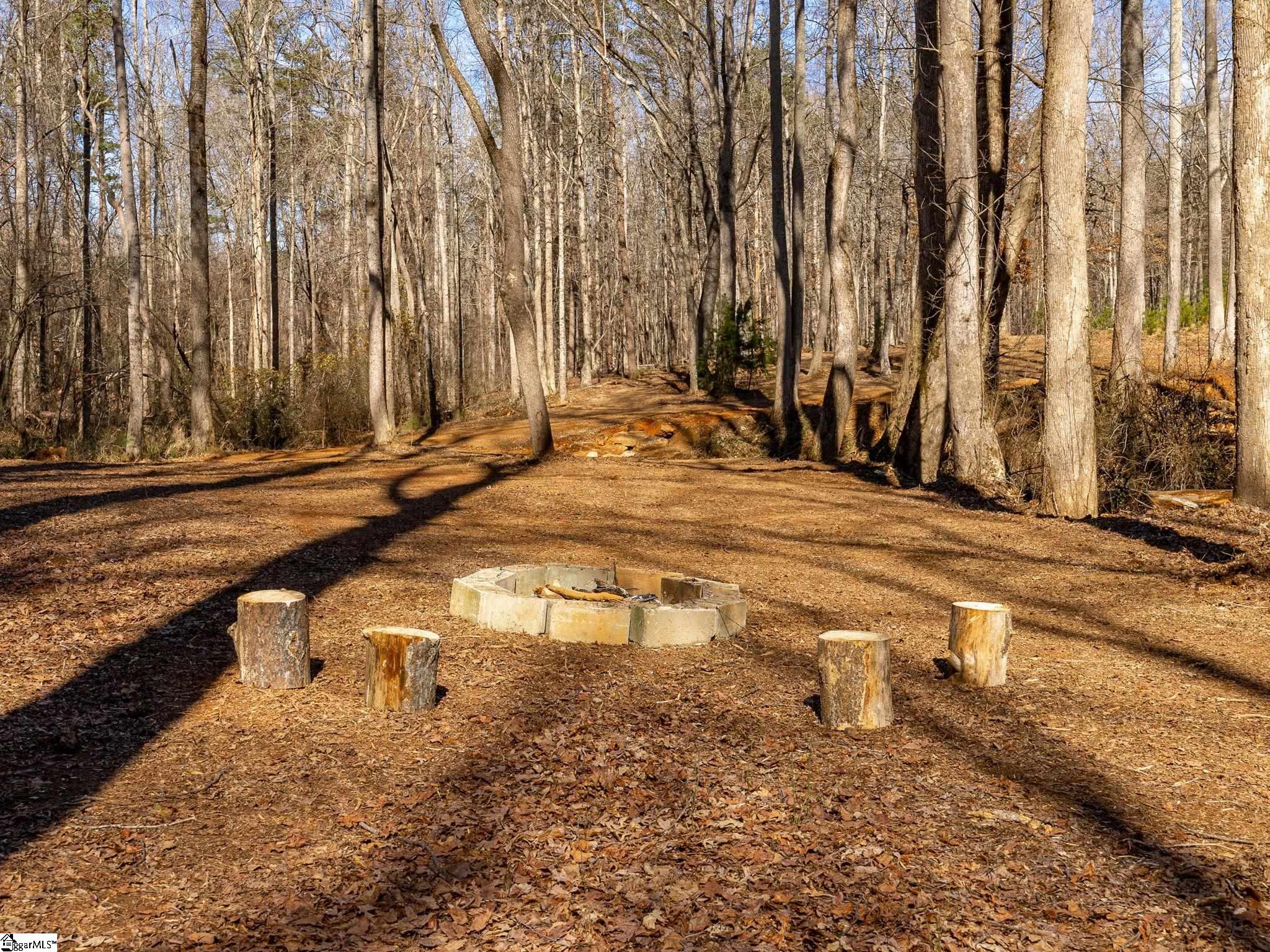127 Guy Cothran Road Inman, SC 29349 - Photo 34 of 36