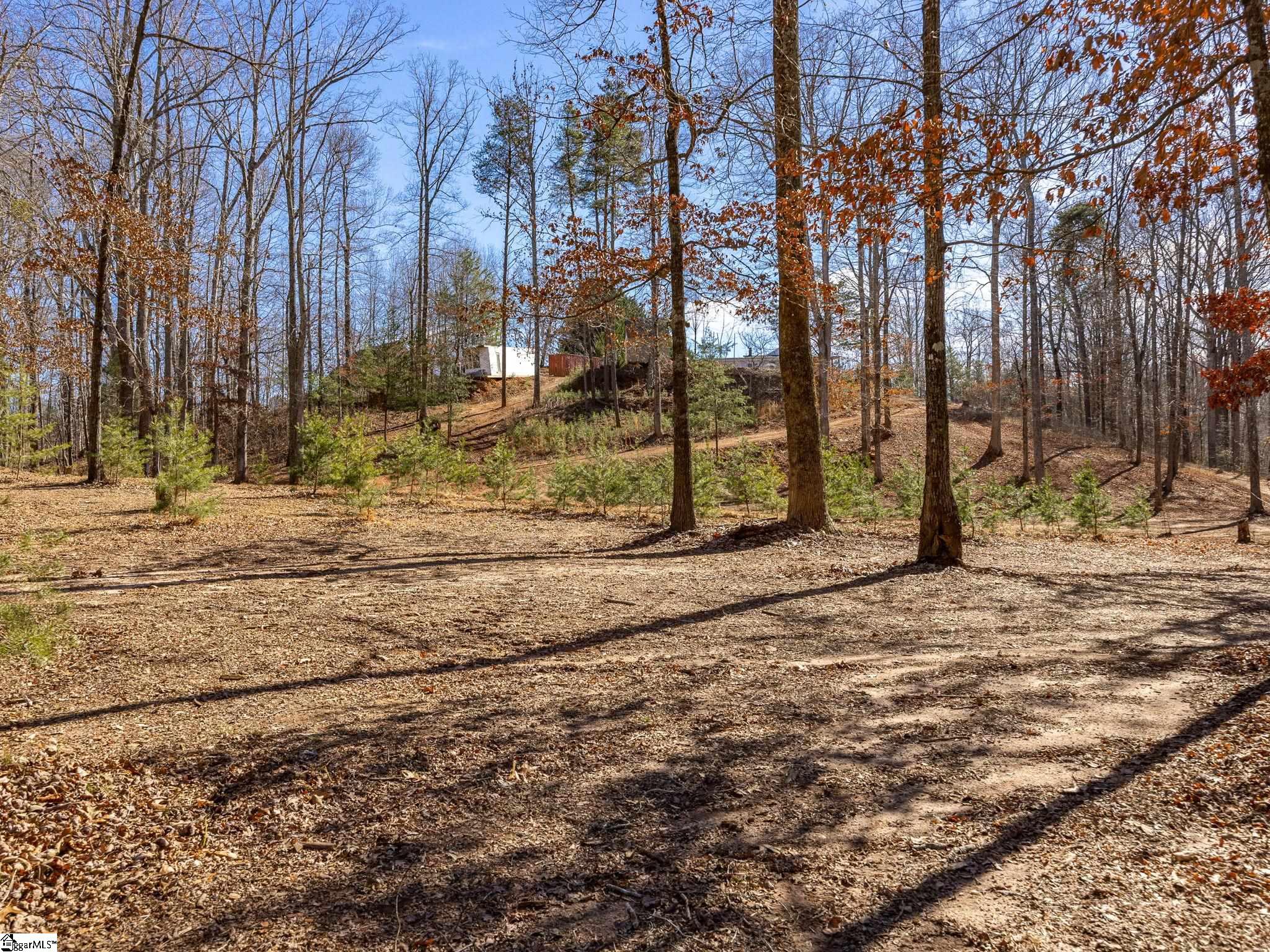 127 Guy Cothran Road Inman, SC 29349 - Photo 35 of 36