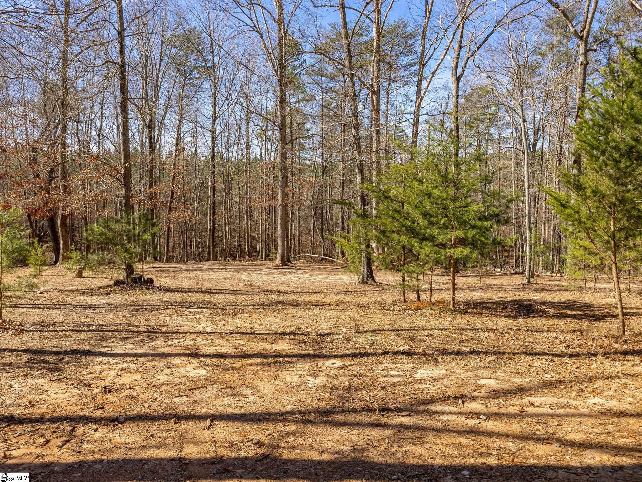 127 Guy Cothran Road Inman, SC 29349 - Photo 36 of 36