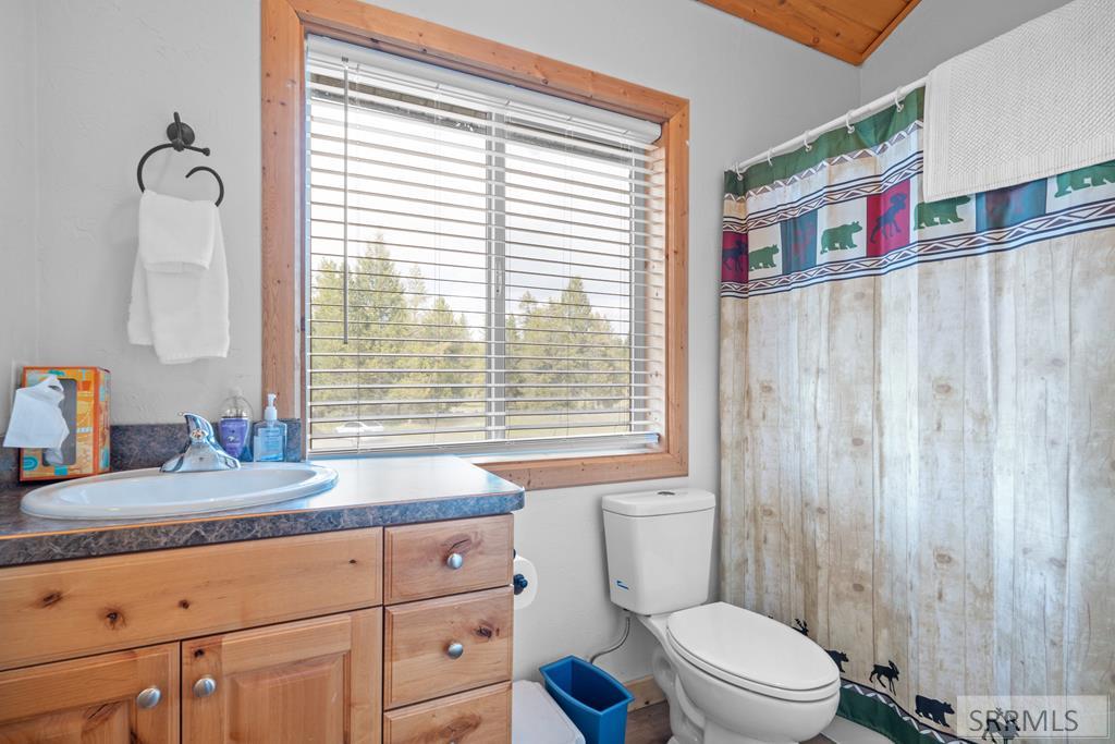 3300 Lariat Road Island Park, ID 83429 - Photo 69 of 75