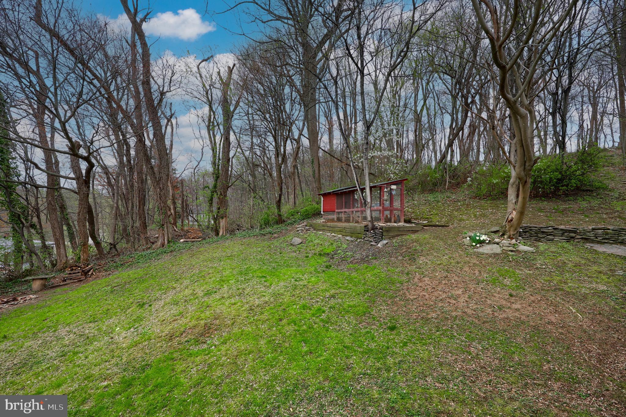378 Bridge Valley Road Pequea, PA 17565 - Photo 32 of 42 a view of a park with large trees