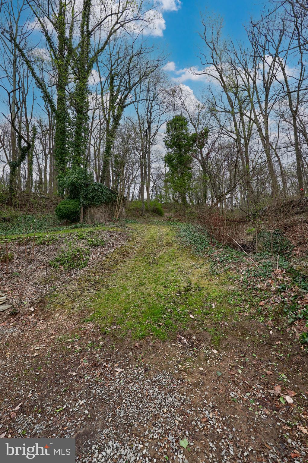 378 Bridge Valley Road Pequea, PA 17565 - Photo 39 of 42 a view of a yard with a tree