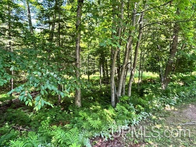 21966 Creamery Road Chassell, MI 49916 - Photo 59 of 61