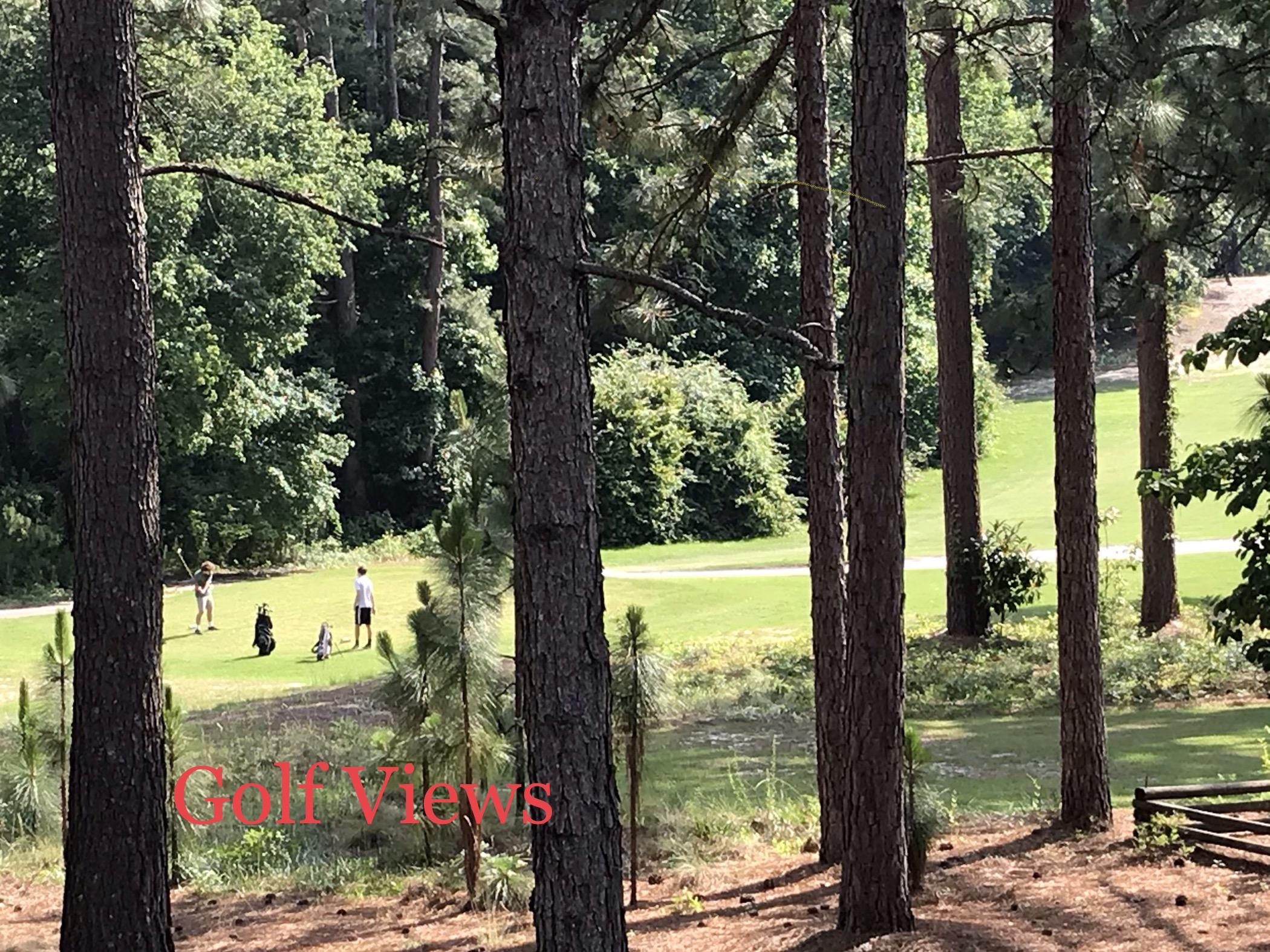 2093 Airport Road Whispering Pines, NC 28327 - Photo 13 of 22 Golf Views