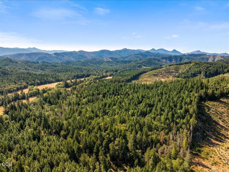 450 Brown Road O'Brien, OR 97534 - Photo 3 of 21 Gallery Image 3