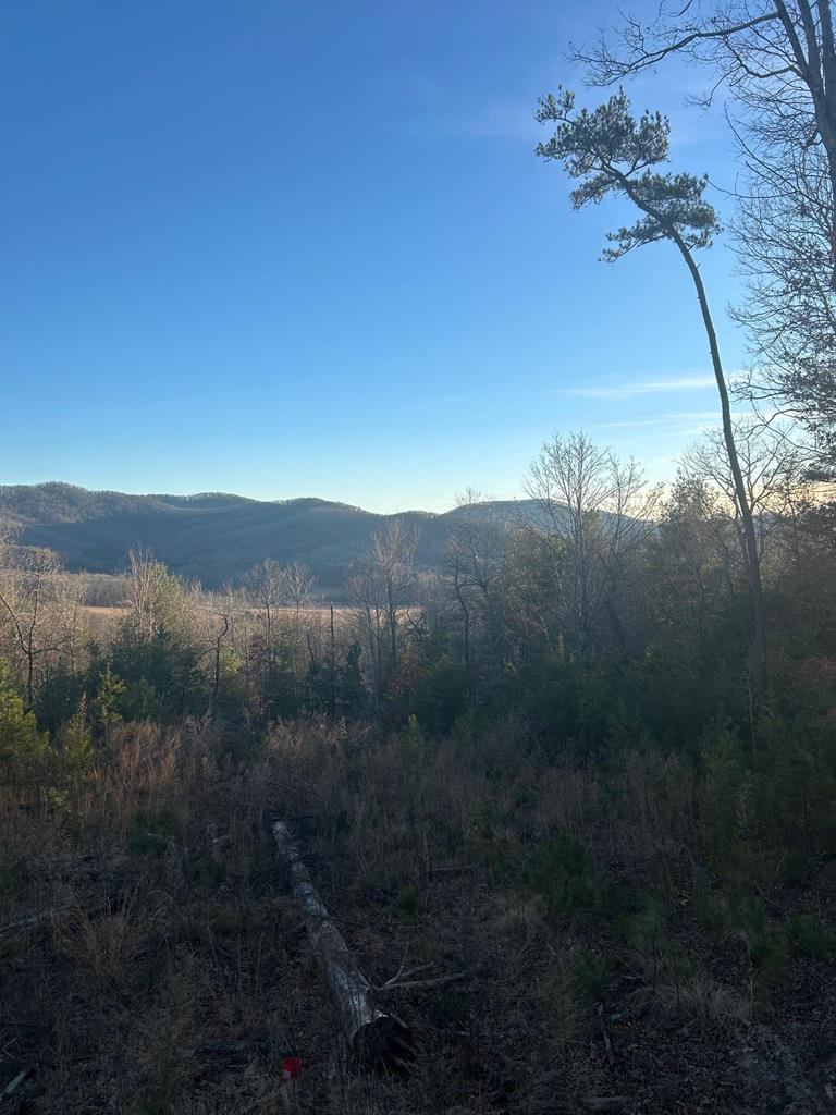 0 Stanley Ridge Road Morganton, GA 30560 - Photo 6 of 30