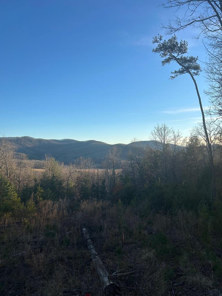 0 Stanley Ridge Road Morganton, GA 30560 - Photo 7 of 30