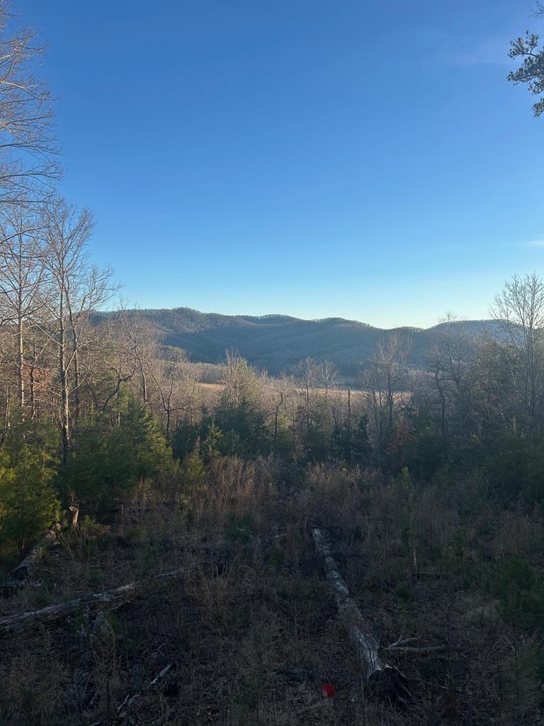 0 Stanley Ridge Road Morganton, GA 30560 - Photo 8 of 30