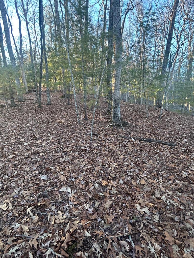 0 Stanley Ridge Road Morganton, GA 30560 - Photo 9 of 30