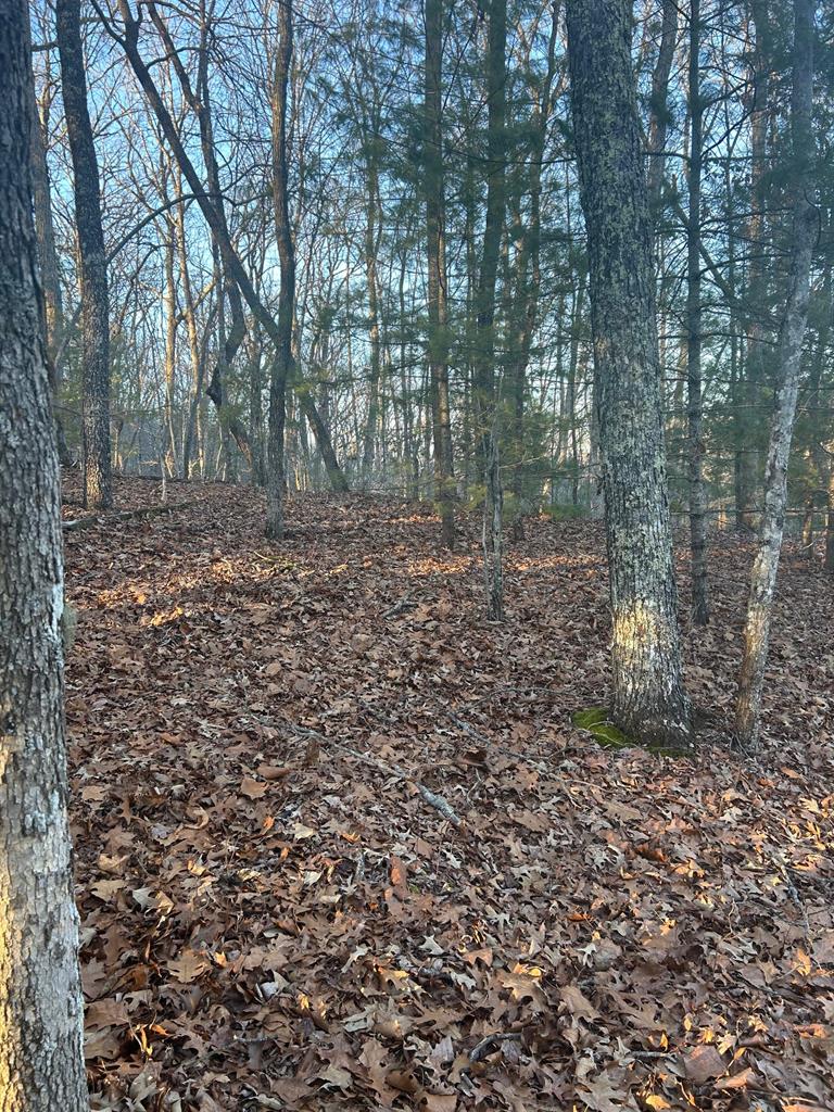 0 Stanley Ridge Road Morganton, GA 30560 - Photo 10 of 30