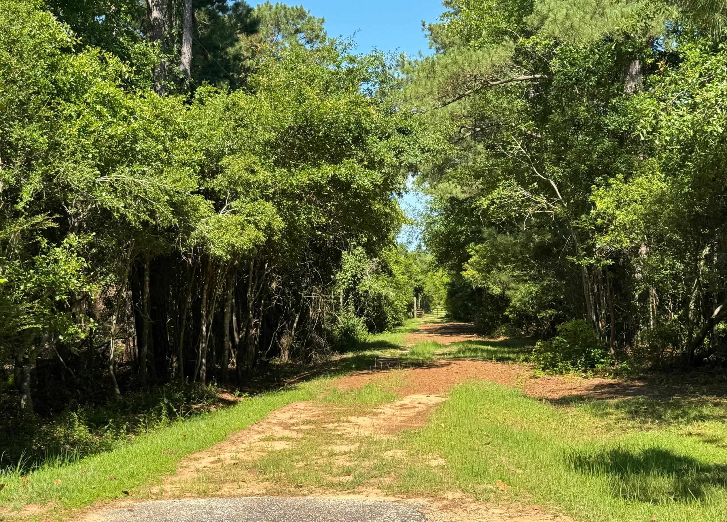 0 Patterson Lane Elberta, AL 36530 - Photo 6 of 6