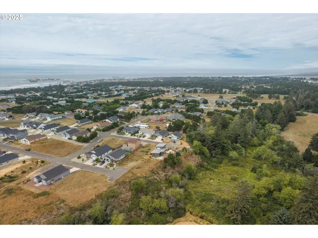 an aerial view of residential building and trees