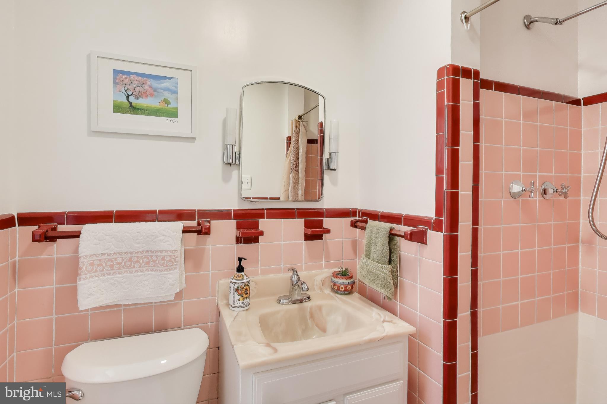 9613 Lorain Avenue Silver Spring, MD 20901 - Photo 19 of 40 a bathroom with a sink a toilet and shower curtain