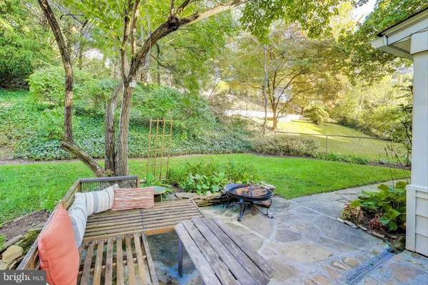 a view of a yard with plants and large trees