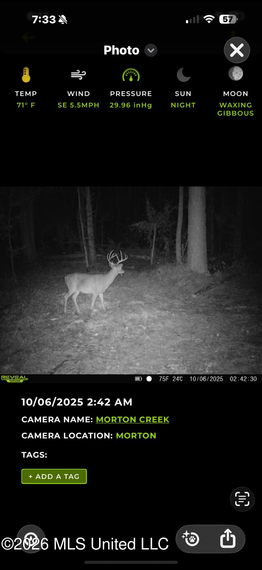 0 East Doc Clark Road Morton, MS 39117 - Photo 6 of 18 IMG_0451