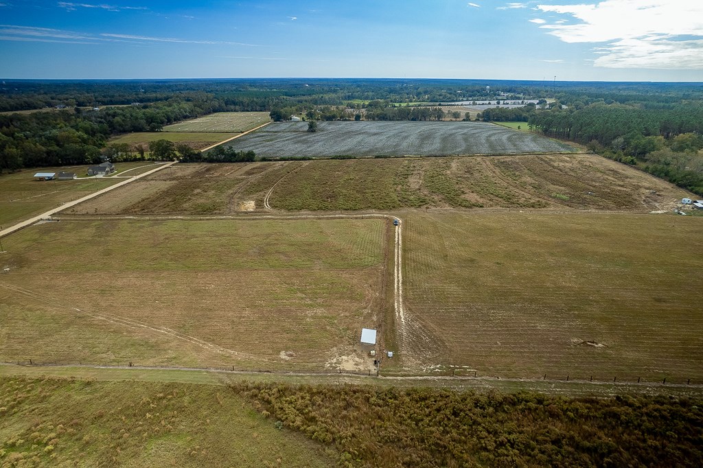 0 J B J B Jackson Road Webb, AL 36376 - Photo 36 of 38