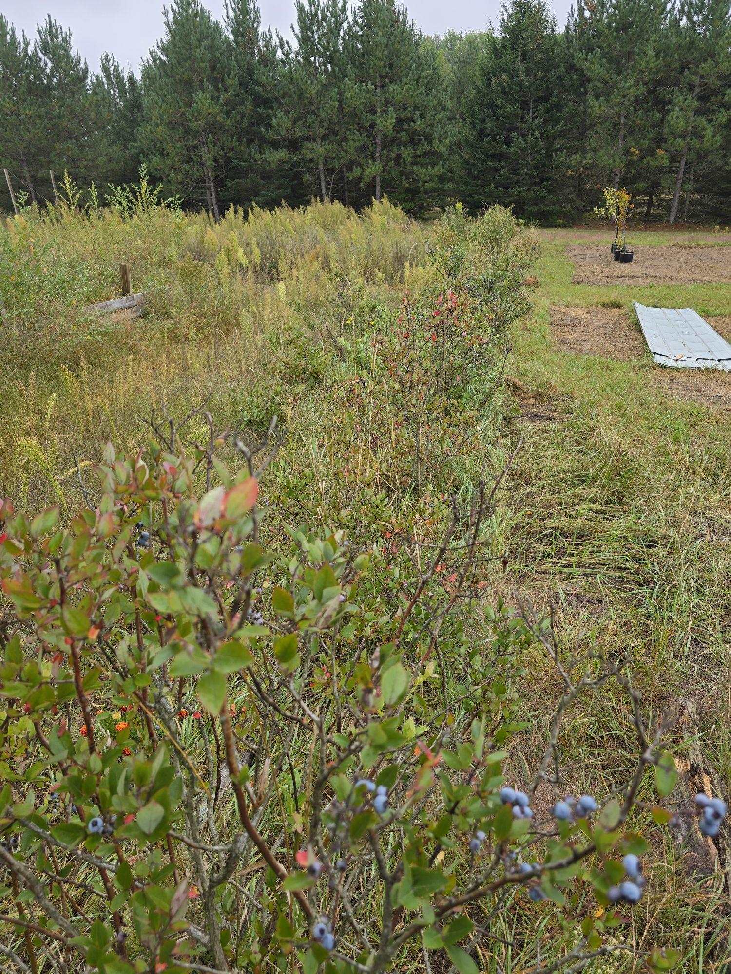 6402 South 23 1/2 Road Boon, MI 49618 - Photo 87 of 87 Gallery Image 87