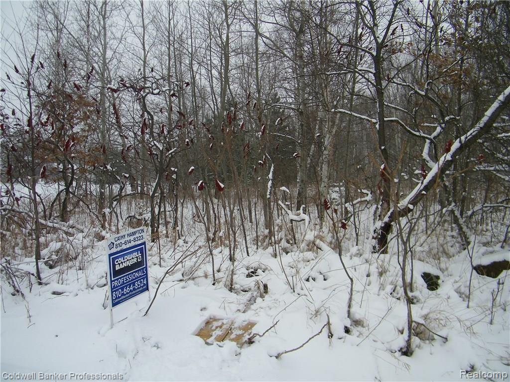 Par E Schlaud Road North Branch, MI 48461 - Photo 1 of 6 Gallery Image 1
