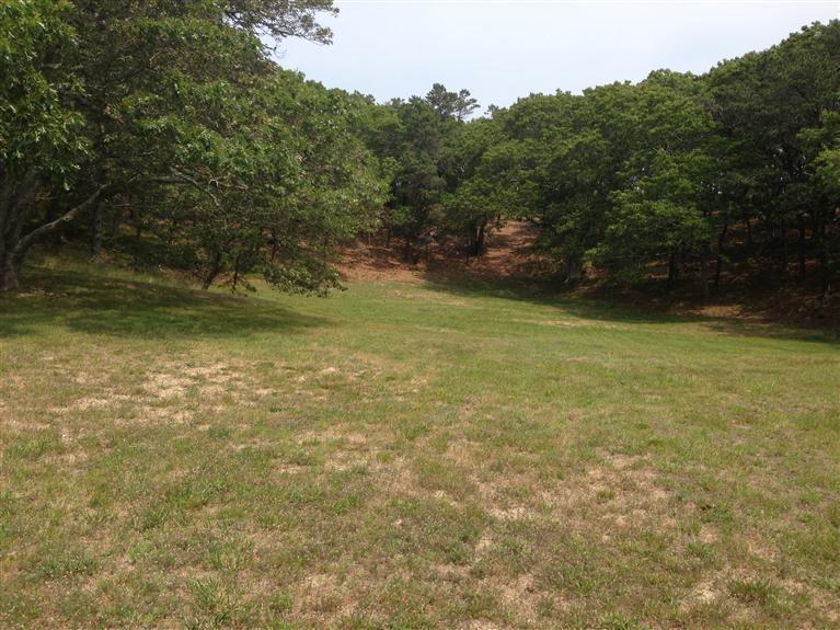 10 Arrowhead Farm Road Truro, MA 02666 - Photo 1 of 4 Primary Photo