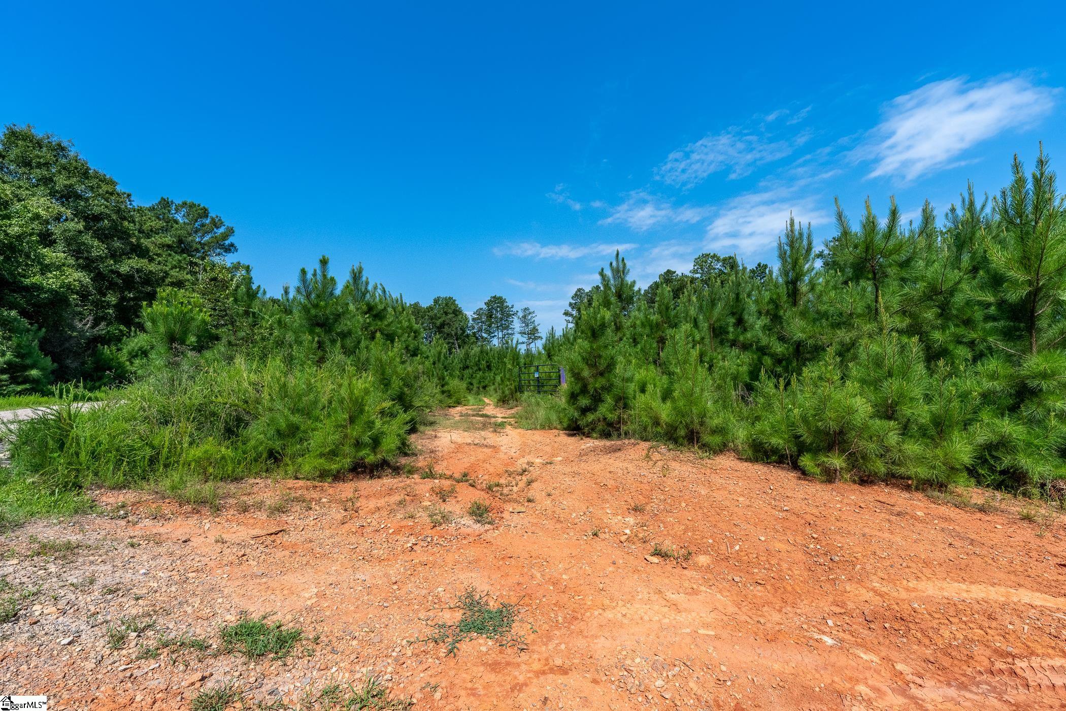0 Blacks Mill Road Iva, SC 29655 - Photo 8 of 41 Gallery Image 8
