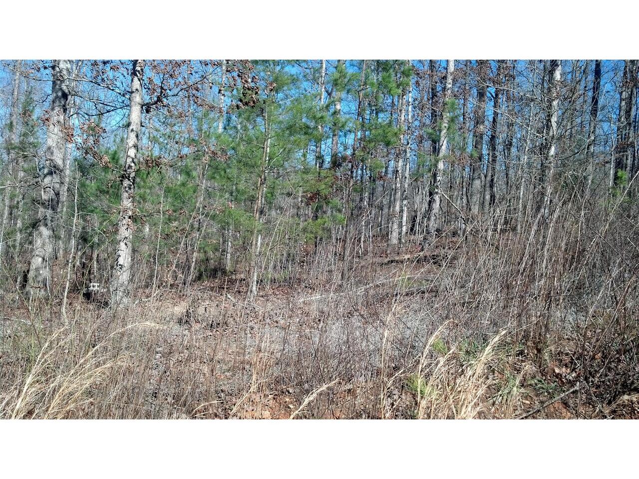 0 Eden Woods Road Clarkesville, GA 30523 - Photo 1 of 1 Gallery Image 1