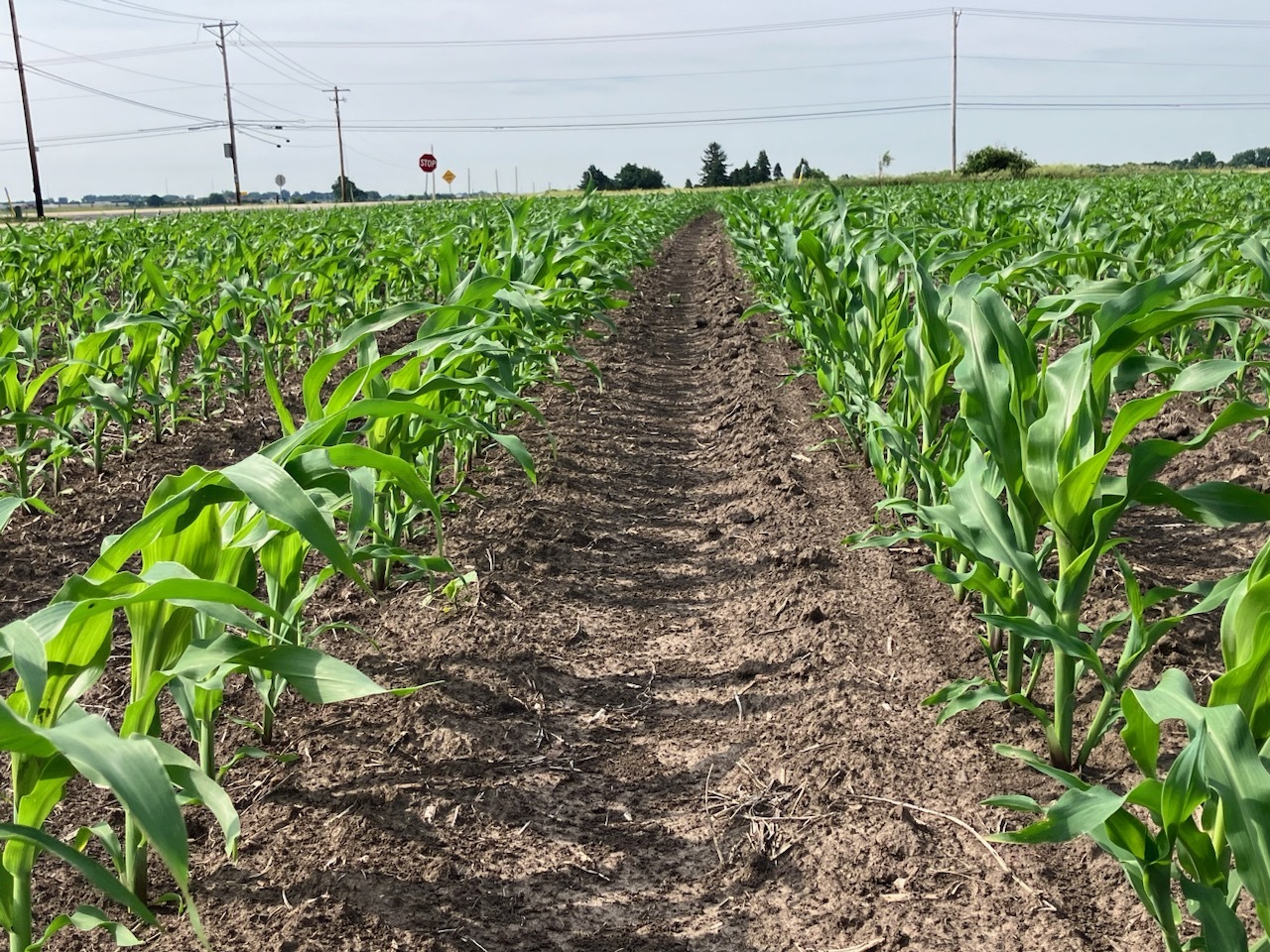 0 Center Road Rochelle, IL 61068 - Photo 15 of 32