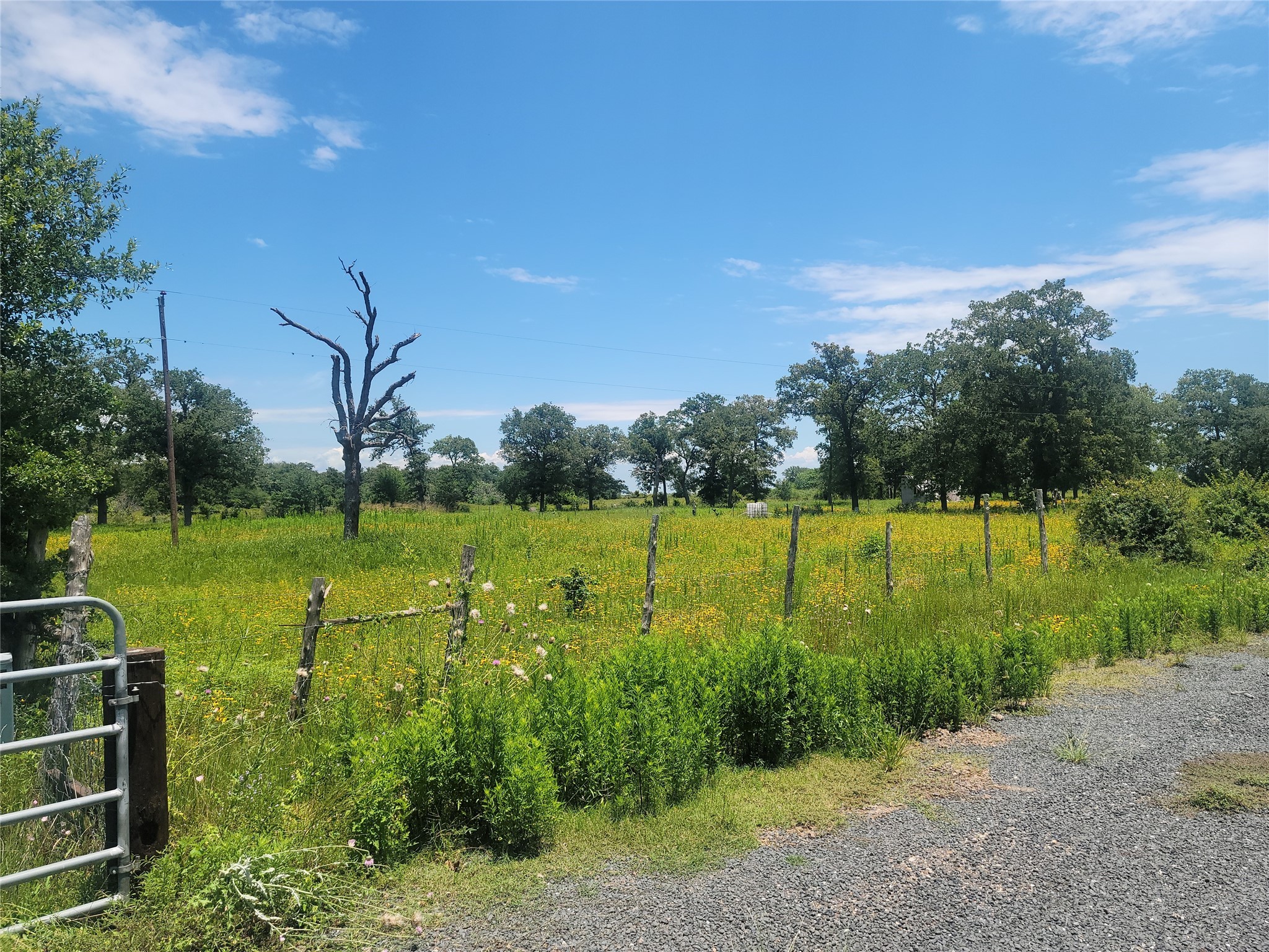 323 Summit Road Eagle Lake, TX 77434 - Photo 2 of 11