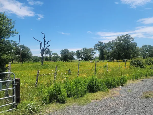 a view of a golf course with a garden