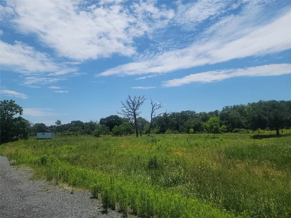a view of a grassy field with trees