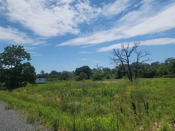 a view of a field of grass and trees