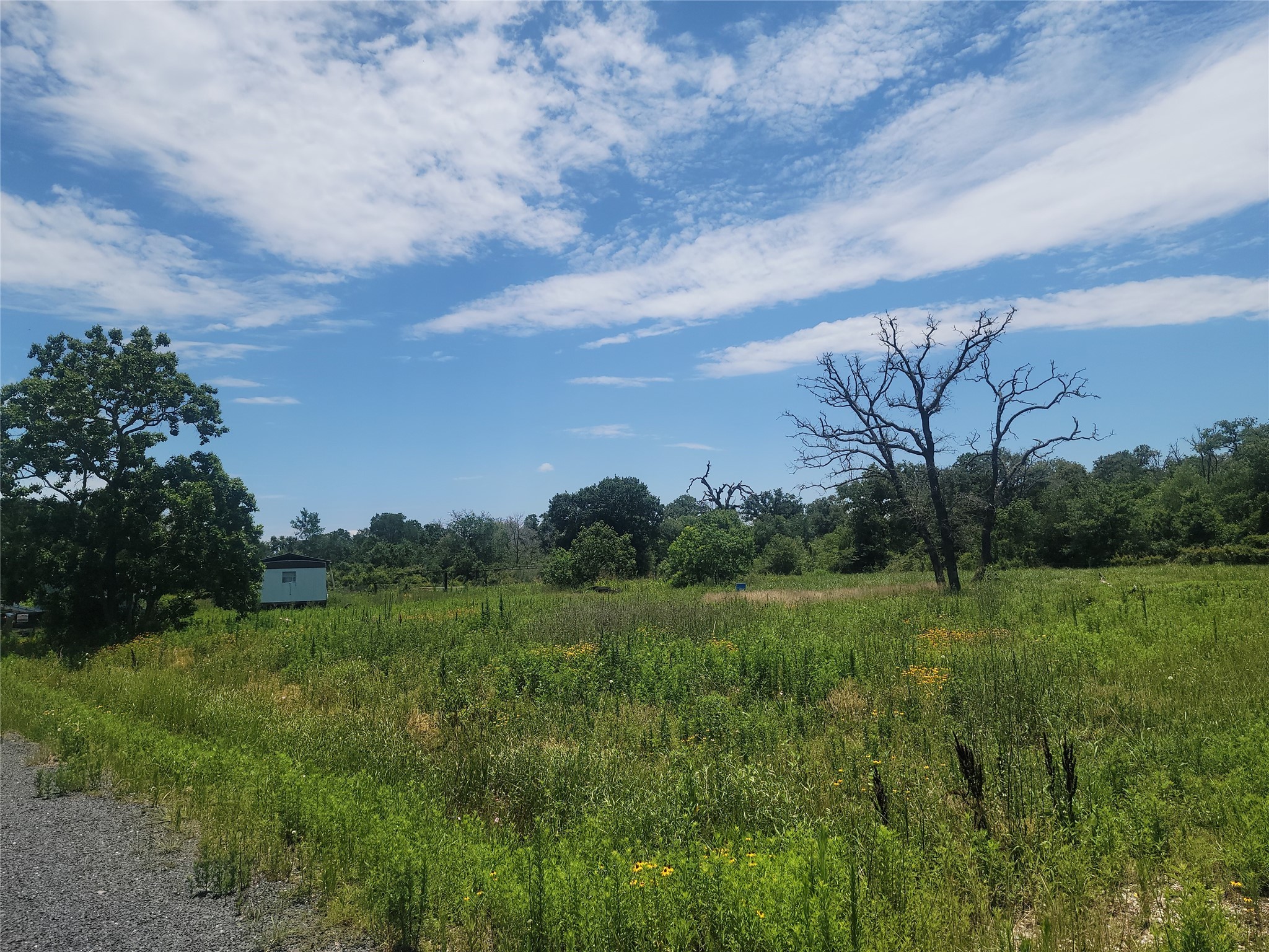 323 Summit Road Eagle Lake, TX 77434 - Photo 7 of 11 a view of a field of grass and trees