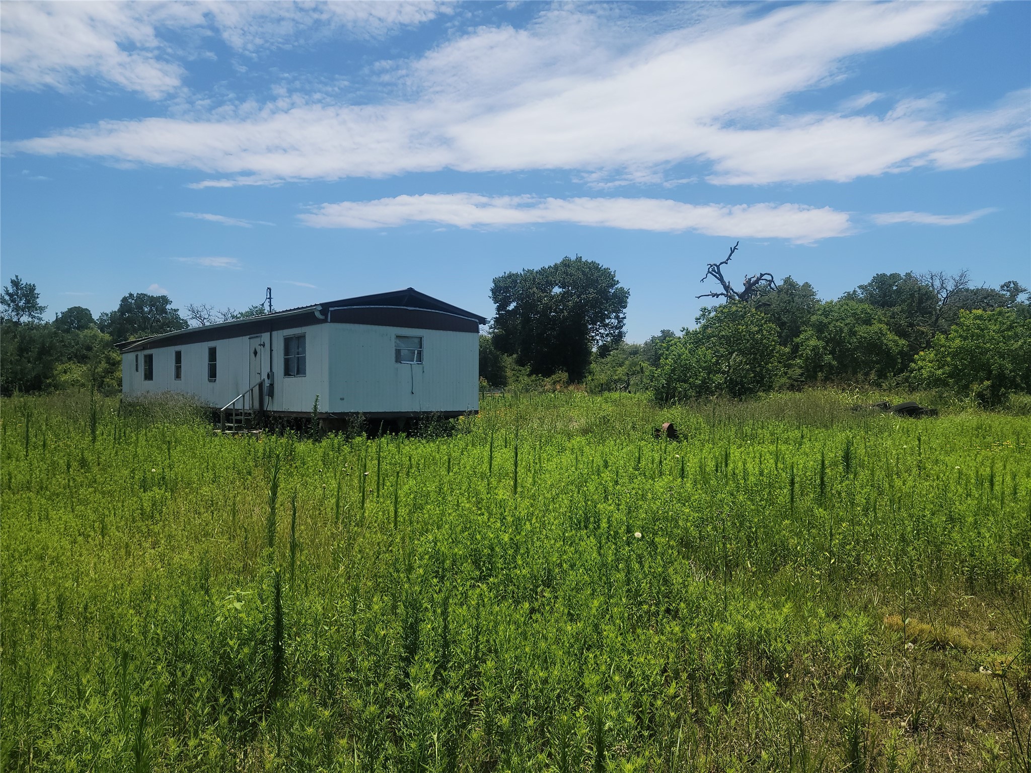 323 Summit Road Eagle Lake, TX 77434 - Photo 9 of 11 a view of a garden with a building in the background