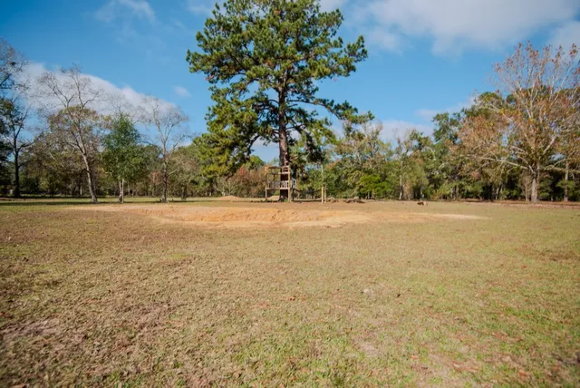 $415,000 | 23326 Farm To Market Road 1293, Thicket, TX 77374