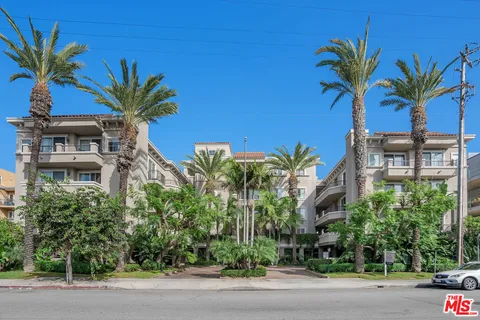 a view of a palm plant in front of a building