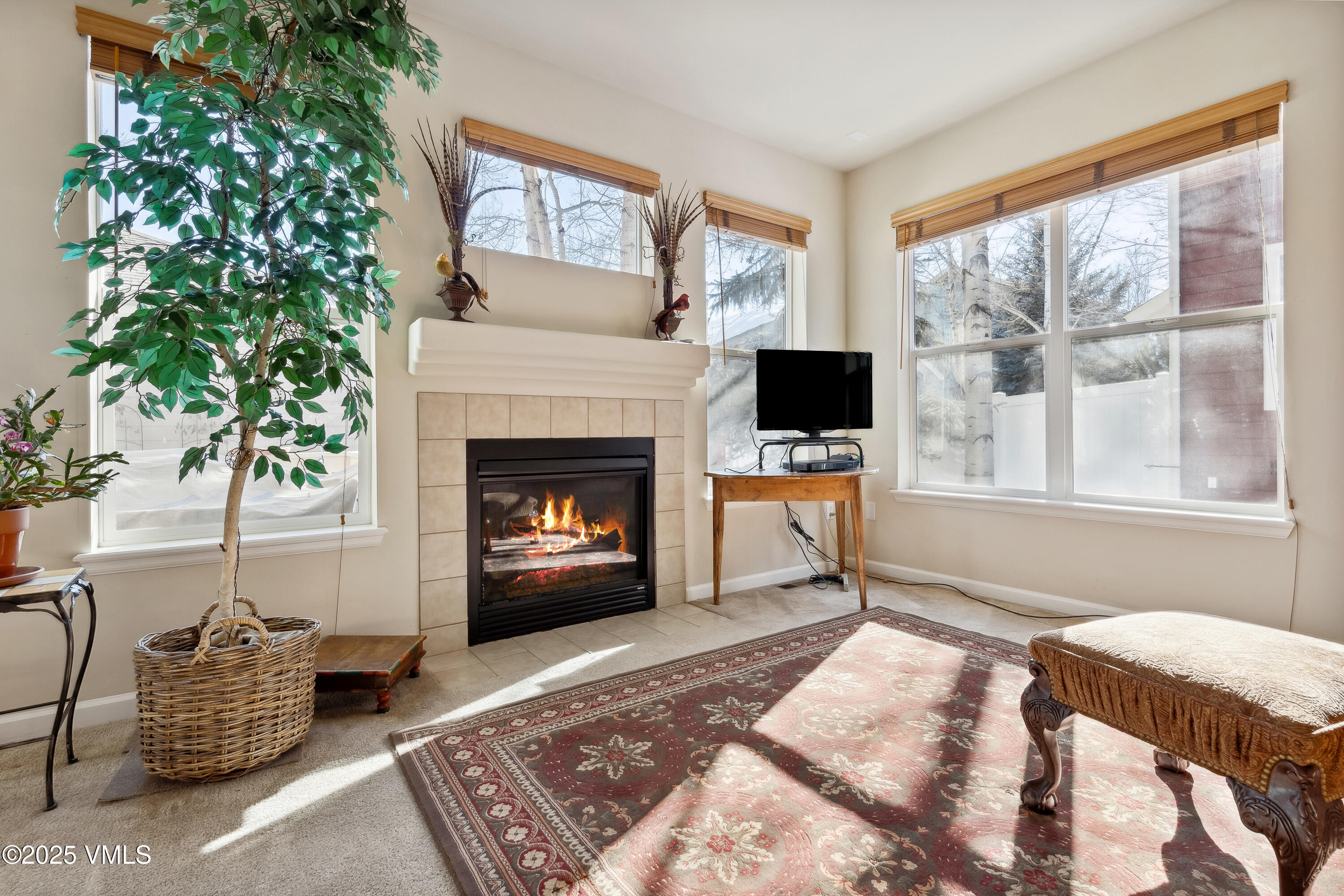 206 Mayer Street Eagle, CO 81631 - Photo 2 of 38 a living room with furniture a flat screen tv and a fireplace