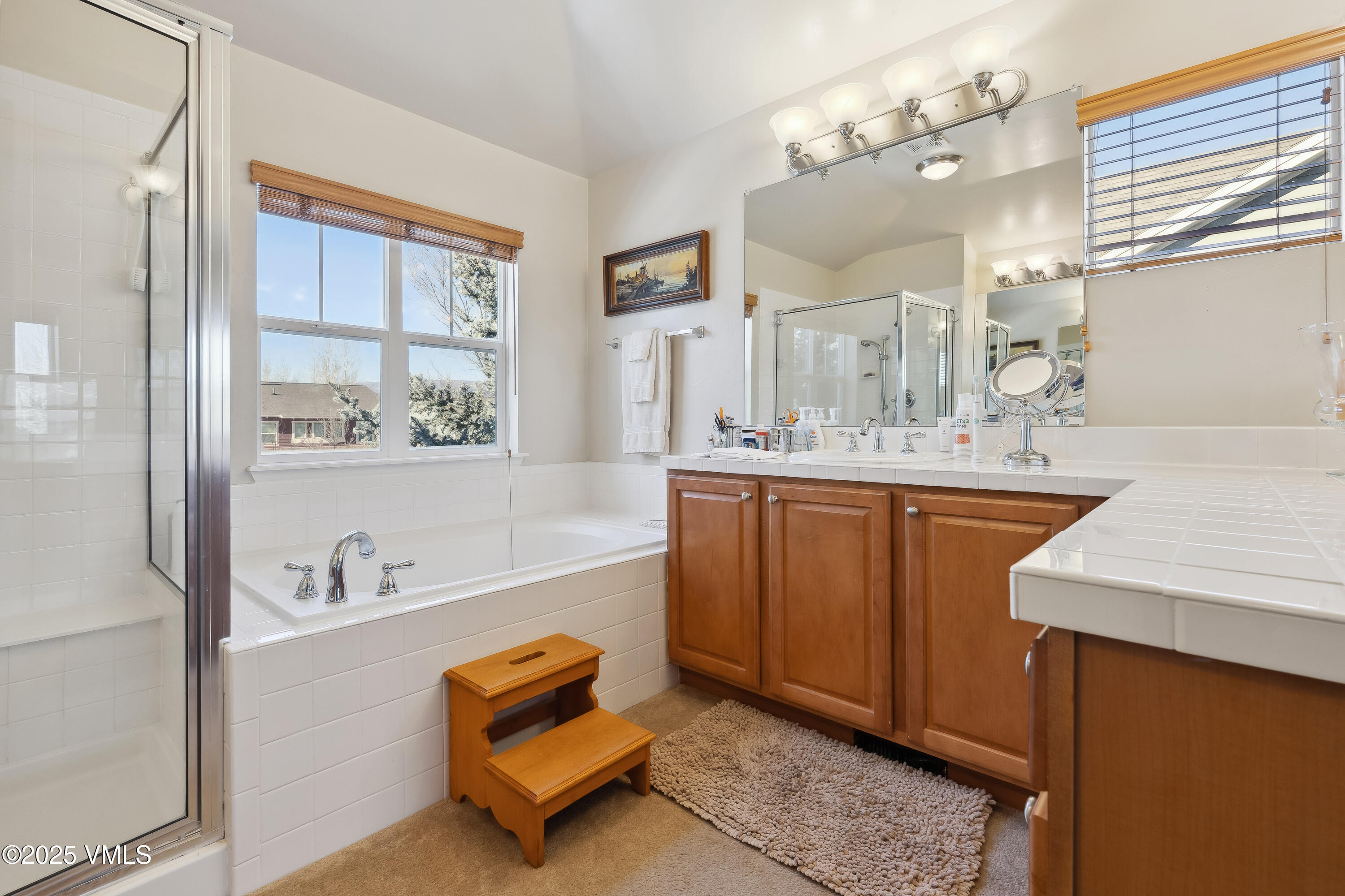 206 Mayer Street Eagle, CO 81631 - Photo 23 of 38 a bathroom with a sink a vanity and a mirror