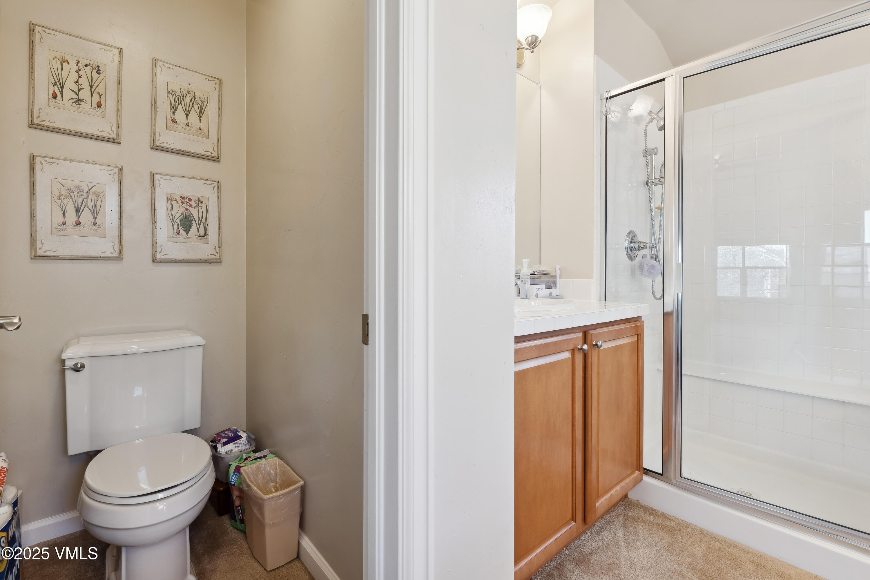 206 Mayer Street Eagle, CO 81631 - Photo 28 of 38 a bathroom with a granite countertop toilet sink and shower