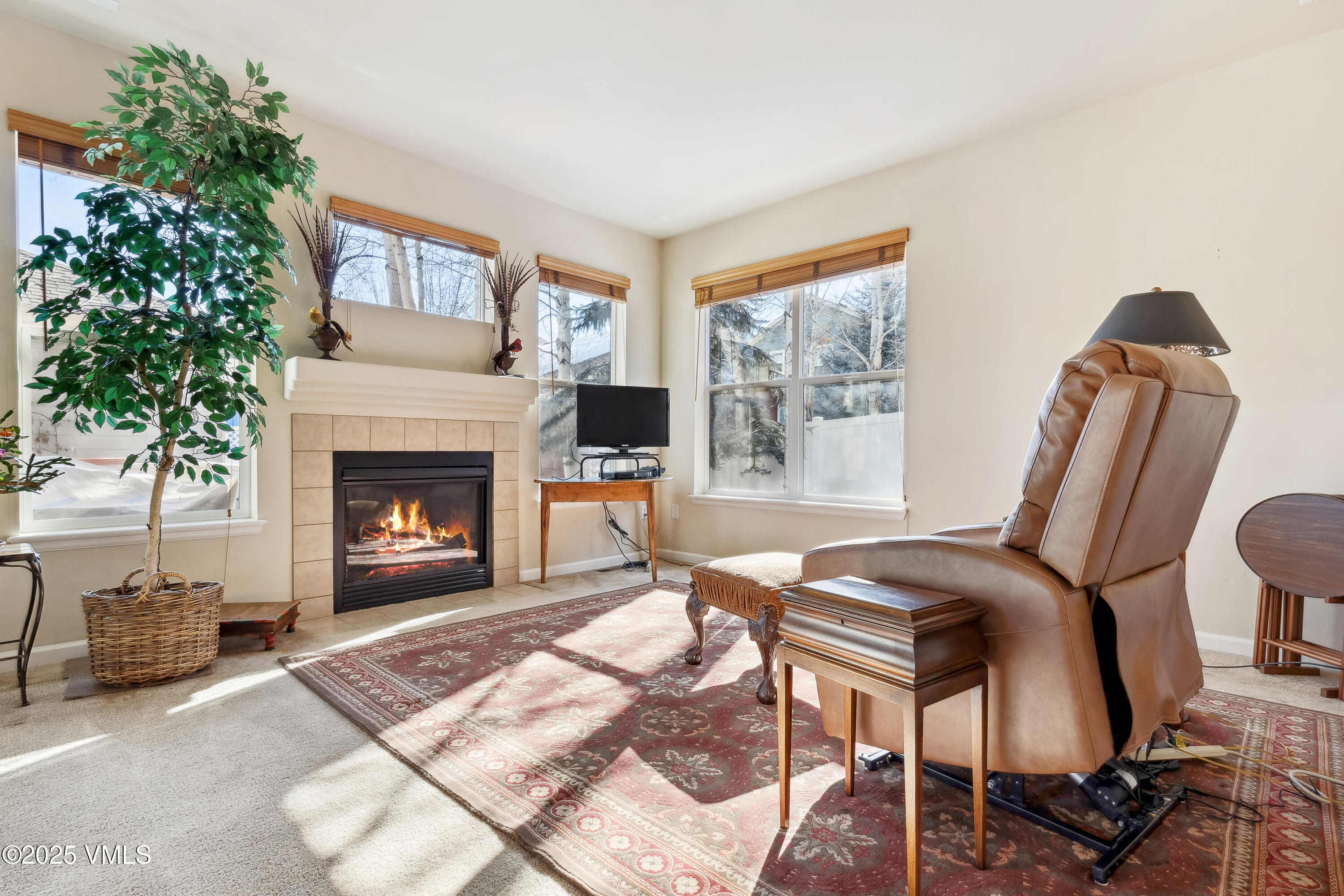 206 Mayer Street Eagle, CO 81631 - Photo 3 of 38 a living room with furniture a window and a fireplace