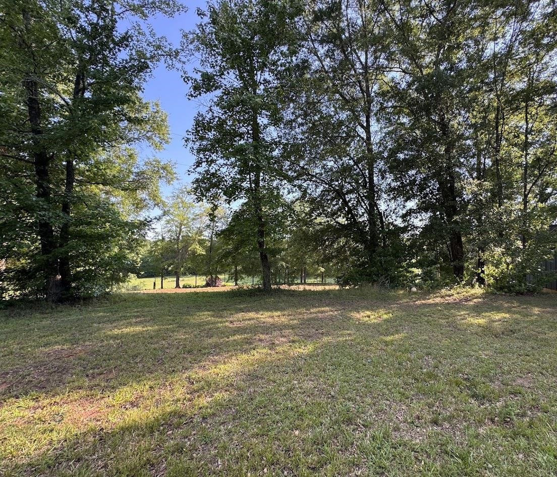 1770 Fish Camp Road Chesnee, SC 29323 - Photo 4 of 7