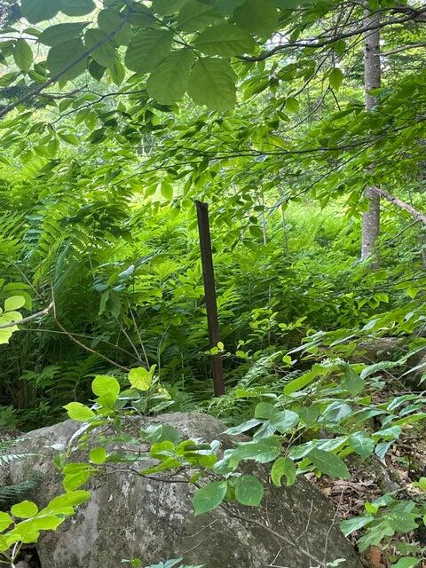 80 Gammon Road Peru, ME 04290 - Photo 4 of 18