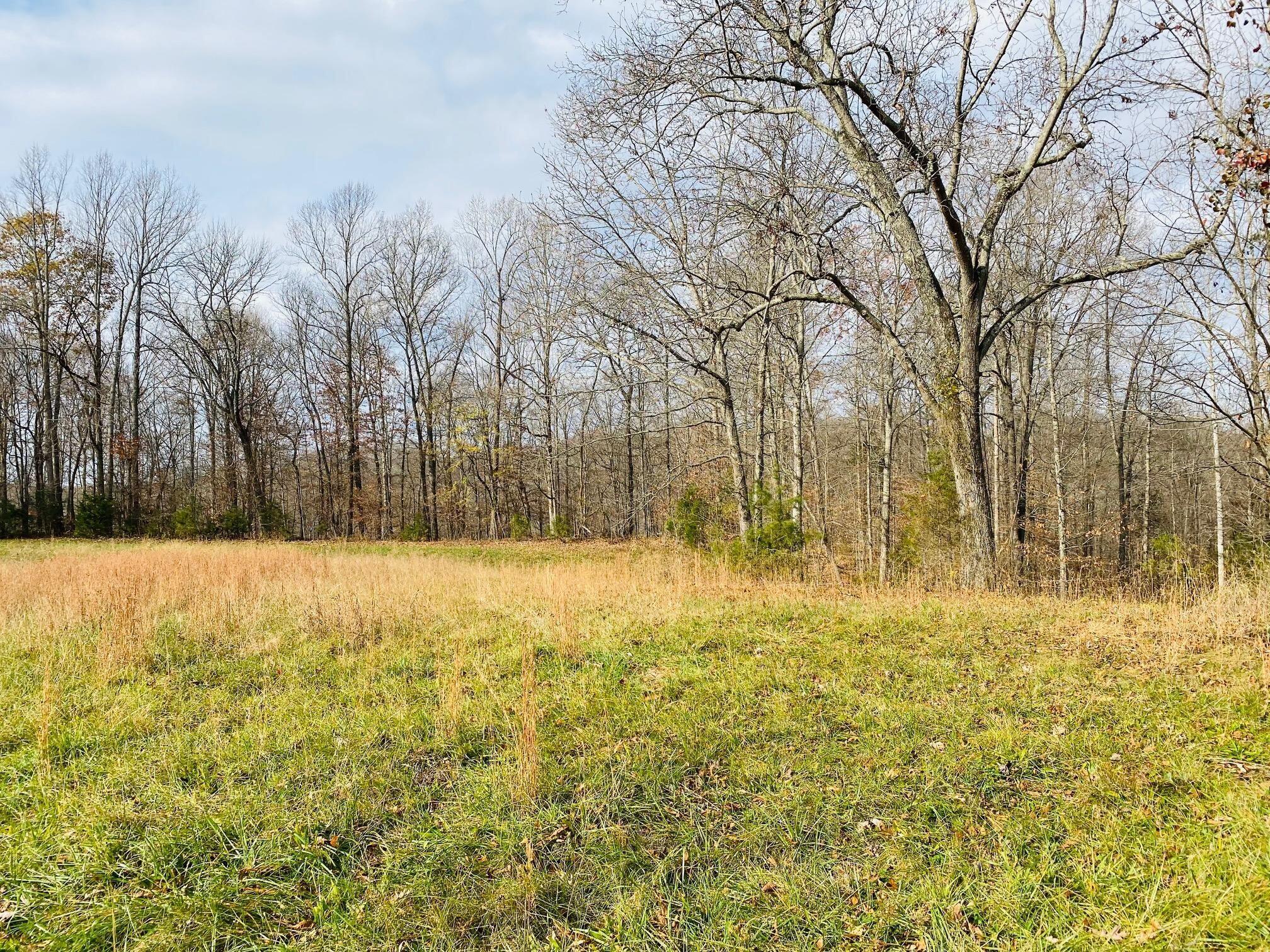 1 Stearns Holw Road Monticello, KY 42633 - Photo 4 of 16 20201123184320533684000000-o