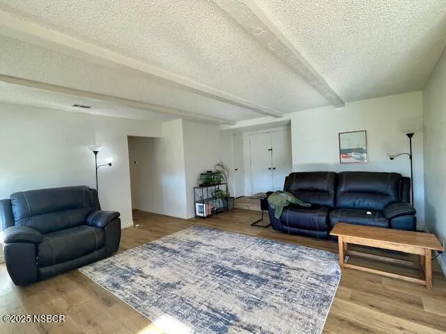 a living room with furniture window and a fireplace