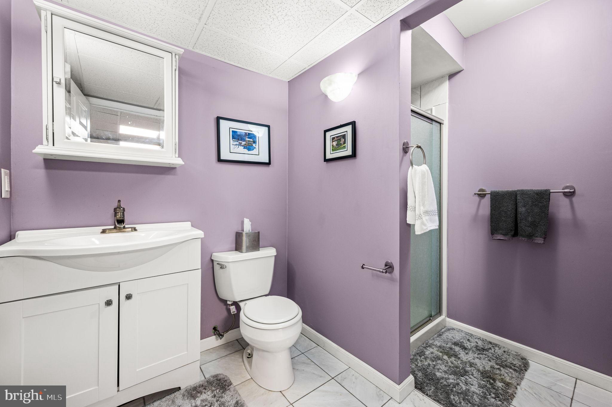 650 Willow Lane Atglen, PA 19310 - Photo 36 of 49 Charming purple-hued bathroom retreat.