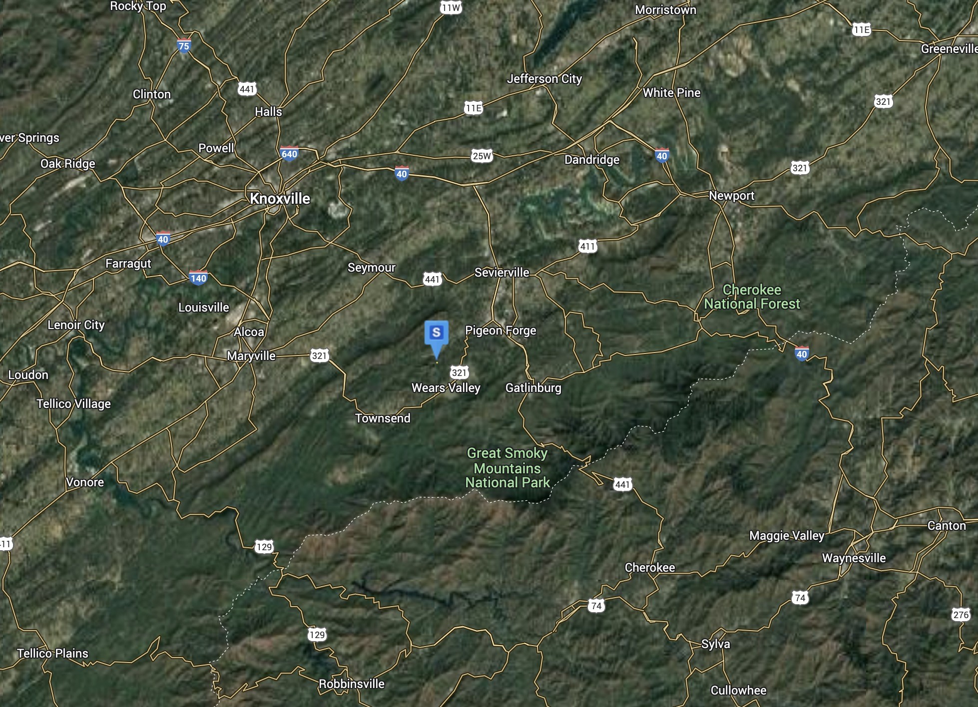 2626 Black Walnut Flats Road Sevierville, TN 37862 - Photo 4 of 4 a picture of tree