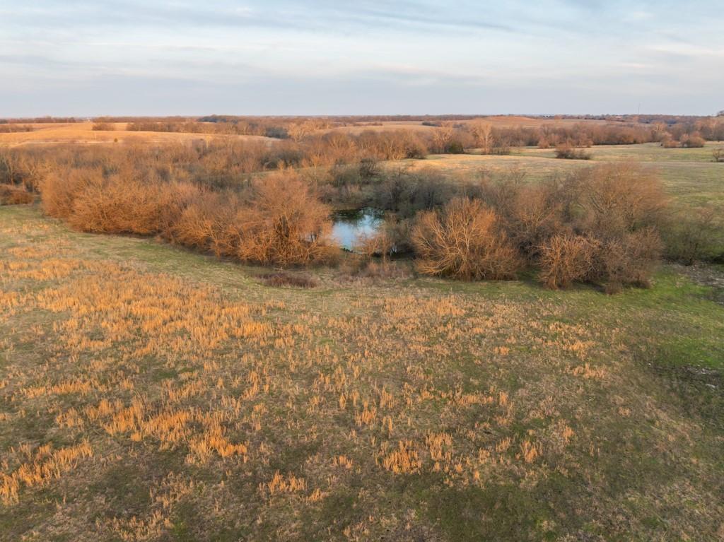South Little Road Garden City, MO 64747 - Photo 14 of 32